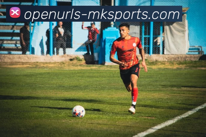 MK体育APP 高清赛事图